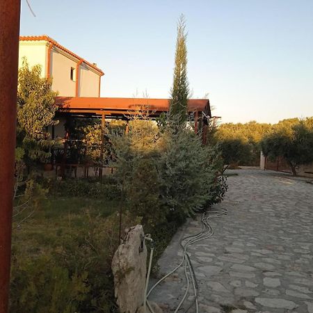 Fοivos And Athina Villas Archanes Exterior foto